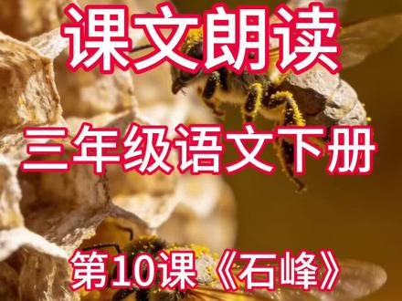 课文朗读|第十课《石蜂》|三年级语文下册#课文朗读#三年级语文下册#石蜂#第十课
