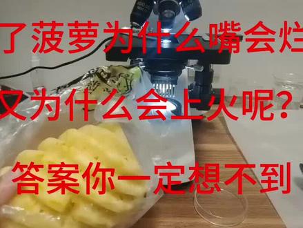 你知道吃菠萝为什么容易上火吗?菠萝为什么要泡一下盐水? #显微镜 #微生物 #微观 #显微镜下的世界