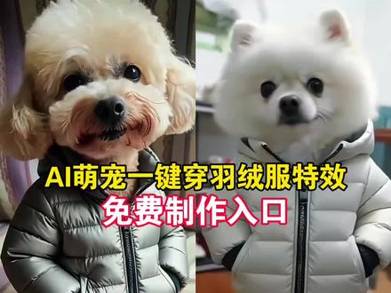 ai萌宠一键穿羽绒服特效教程 AI萌宠一键穿羽绒服 #天冷了你要记得穿羽绒服 萌宠穿羽绒服教程 萌宠穿衣的视频制作方法 ai萌宠穿羽绒服 #即梦ai #小狗羽绒服 #ai萌宠一键穿羽绒服 宠物狗保暖外套 萌宠一键穿羽绒服特效生成入口 萌宠一键穿羽绒服ai特效 萌宠一键穿羽绒服特效 萌宠一键穿羽绒服制作特效 萌宠一键穿羽绒服特效制作 萌宠一键穿羽绒服制作教程 萌宠一键穿羽绒服ai教程 萌宠一键穿羽绒服ai指令 萌宠一键穿羽绒服ai生成方法 萌宠一键穿羽绒服ai特效教程 萌宠一键穿羽绒服特效制作教程 萌宠一键穿羽绒服指令 #萌宠一键穿羽绒服口令 萌宠一键穿羽绒服制作口令 萌宠一键穿羽绒服特效口令 萌宠一键穿羽绒服ai生成指令 萌宠一键穿羽绒服免费制作教程 萌宠一键穿羽绒服免费制作入口 萌宠一键穿羽绒服免费制作方法 萌宠一键穿羽绒服制作入口 萌宠一键穿羽绒服ai一键生成 萌宠一键穿羽绒服ai制作方法 萌宠一键穿羽绒服特效入口 萌宠一键穿羽绒服特效指令