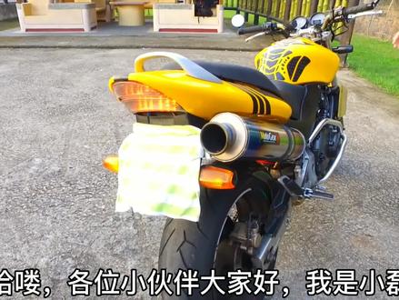 本田超级运动系列,黄蜂家族、本来是王者、被自己给作死了