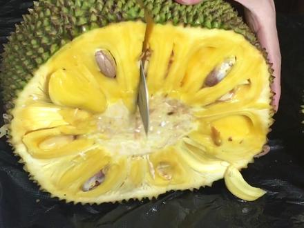 #菠萝蜜熟了#优质农产品菠萝蜜吃不完怎么保存?满满超实用干货哦~~#菠萝蜜 #家乡特产