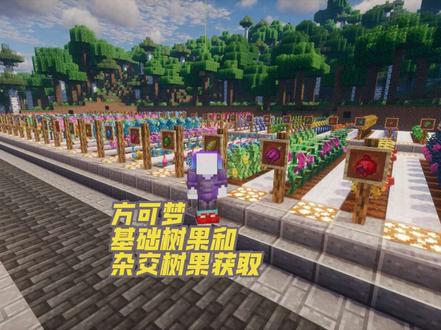 关于方可梦树果和杂交树果获取#我的世界 #方块宝可梦