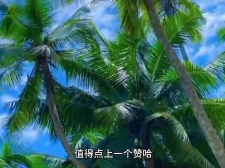 @环保科技椰壳碳化料#科普一下 #原创视频