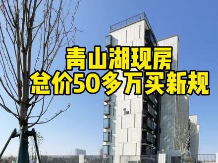 青山湖实景现房,楼下就是公园!50多就可以买一套#豪驰壹品 #青山湖买房 #南昌买房 #万科四季都会
