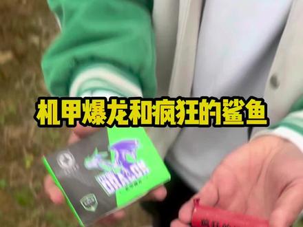 机甲爆龙和疯狂的鲨鱼#危险动作请勿模仿 #鞭炮