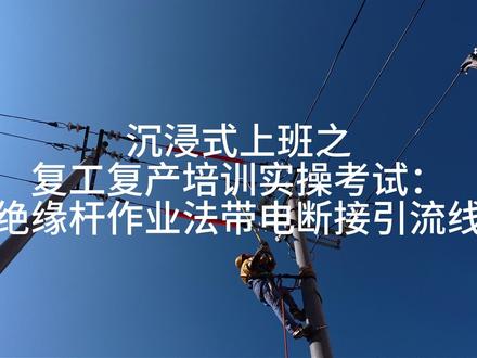 电线杆上风很大,我很想你。 #10kv带电作业 #高压电工实操考试 #爬电杆养你