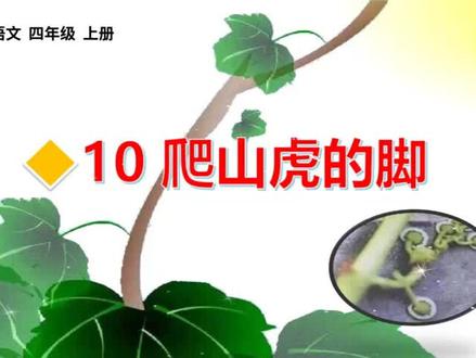 四年级上册语文《爬山虎的脚》生字讲解