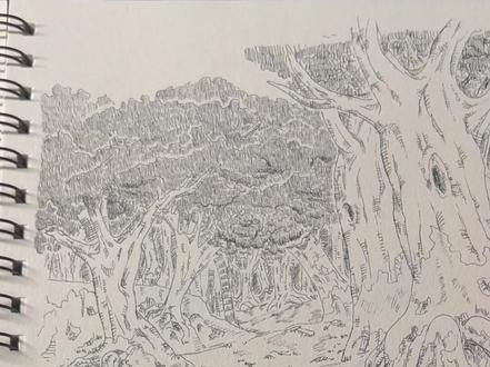 我在这里创造了一片森林,请你来做客
#绘画教程 @DOU+小助手