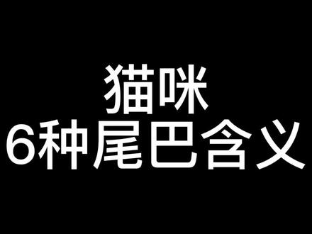 猫咪六种尾巴形状表达的含义,快来看看吧#宠物科普 #猫咪 #宠物猫咪