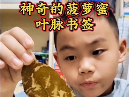三年级下册科学 自制叶脉书签#三年级下册科学 #实践 #叶脉书签