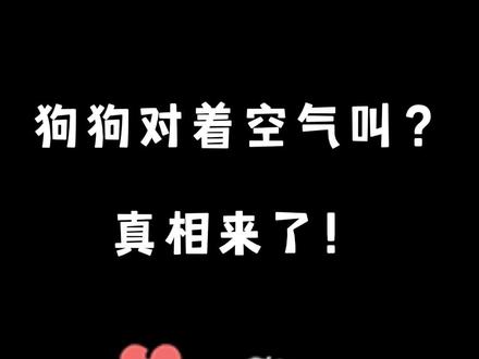 狗狗为什么对着空气叫?真相来了! #狗狗 #狗狗叫 #科学养宠攻略 #养狗知识
