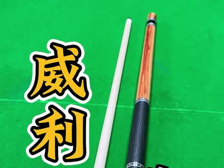 威利欲望妖刀,郁金香选材,是你菜吗? #台球 #台球是一种生活 #威利 #威利球杆 #威利欲望妖刀