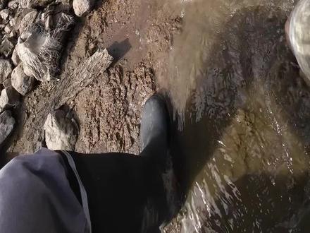 放假第一天,10斤大鲶鱼上岸全过程。