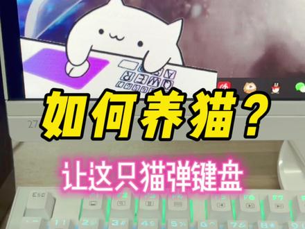 如何养猫?超萌猫咪键盘教程!#bongocat #电脑桌面 #沙雕 #软件 #虚拟猫咪