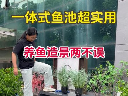 一体式鱼池超实用,养鱼造景两不误#鱼缸 #鱼池设计 #农村自建房 #小院时光 #阳台