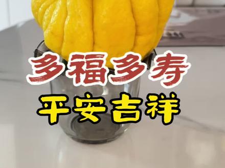 年关了家里面摆上这样的佛手,多福多财健康吉祥 !#佛手瓜 #健康生活 #中医式生活 #生活小妙招 #养生智慧