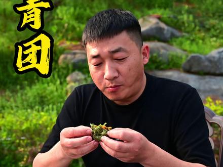 青团 ——田间的野菜总能带来惊喜,用鼠曲草做成青团,一口下去清甜软糯,仿佛把春天吃进了肚子里!#青团#这个春天真好吃 #春天的鲜味一口封神 #我的乡村生活