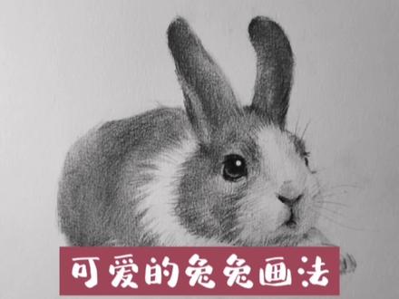 超级简单的可爱兔兔画法!#画画 #素描 #手绘 #素描动物 #素描教程