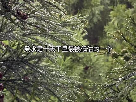 读万卷书 行万里路 #癸水