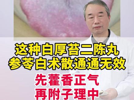这种白厚苔,二陈丸、参苓白术散通通无效,先藿香正气 #养生 #医学科普 #调理身体