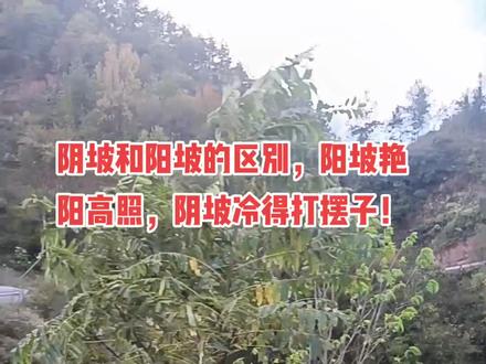 冬天的太阳,山南山北的有
区别
