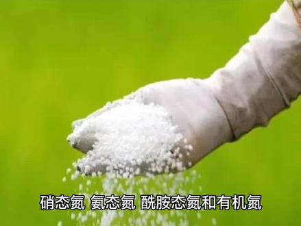 正确认识硝态氮、氨态氮、酰氨态氮和有机氮#新农人计划 #三农 #涨知识 #农业 #农资 #防疫必胜