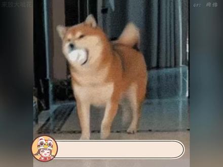 布洛芬:不管了 碰到啥就治啥吧 #布洛芬 #搞笑 #万万没想到 #老精了