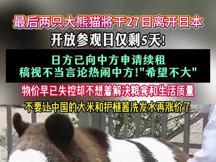 确认了!日本最后2只大熊猫即将回国#大熊猫