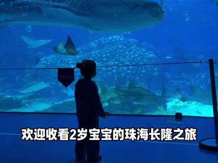 珠海长隆3天vlog来了~快点码住攻略 #珠海长隆 #亲子旅游#人类幼崽到底多可爱 #萌娃日常 #vlog扶持计划