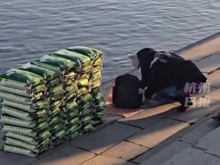 警方回应有人疑在江边放生大米:涉及粮食浪费,不予鼓励。(来源:新京报)#社会百态 #你怎么看