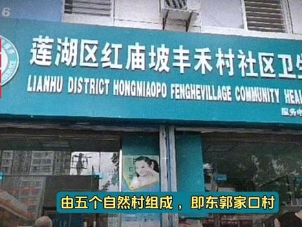 丰禾村#村名由来 #面临拆迁安置的城中村 #西安大兴新区