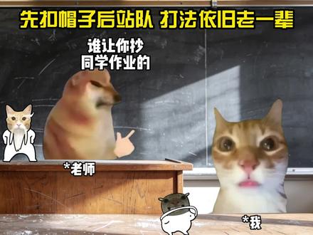 这口锅谁都背不动 #猫meme