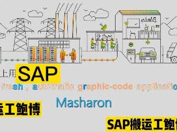SAP条码简介#sap #sap加快数字化转型 #sap条码 #制造业 @SAP中国 @SAP Concur