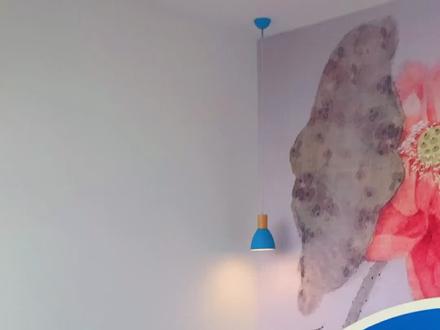 约起来,白洋淀荷塘家宴农家院#白洋淀#垂钓#免费钓鱼#免费带走