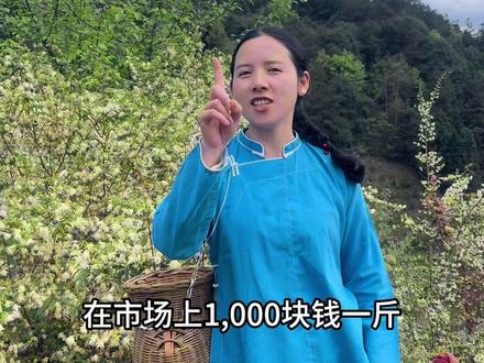 白花檵木茶,你喝过吗?它的营养价值和功效你知道吗?欢迎打在评论区 #白花檵木#记录我的农村生活 #大自然的馈赠