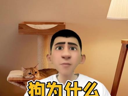 狗为什么喜欢咬猫咪的头?#宠物知识 #科学养宠攻略 #养猫经验分享 #萌宠 #干货分享 #狗狗是人类最忠实的朋友 #养猫人 #宠物医生 #狗狗 #宠物猫