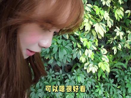 遇到了一个跟芭比娃娃一样的小姐姐 #给陌生人拍照#青年创作者成长计划#街拍#拍照姿势#甜妹