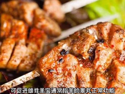 羊宝的营养价值及功效