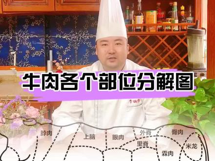 牛肉各个部位分解图#牛肉部位 #火锅
