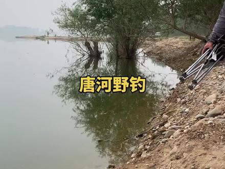 障碍区发现有鱼,窝子千万不要多打@抖音小助手 @DOU+好生意 #钓鱼人 #路滑钓法 #原来钓鱼才是抖音运动顶流