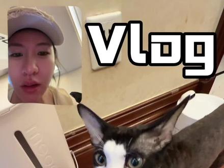 vlog 小猫绝育 外骨骼机器人体验 #德文猫 #猫绝育 #外骨骼机器人 #vlog十亿流量扶持计划 #我是泽龙