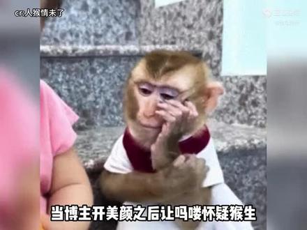 天哪。这猴简直是二十四孝男友啊