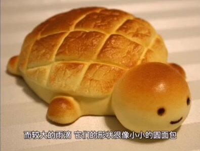 雨点是什么形状的?#地球 #涨知识 #分享 #老师 #上热门 @DOU+小助手
