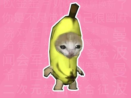 我的刀盾比比拉布是什么梗?【梗学堂】 #我的刀盾 #比比拉布 #猫meme #万恶之源 #抓大鹅