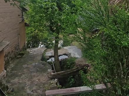 一缕清风入山林,义剪温暖少年心
藏在大山里的柘标火村,是否装着你的童年乡愁?
海拔600多米的浙标火村,这样的乡村你愿意长住吗?#缙云壶镇柘标火村 #大山里的公益义剪 #儿时乡村记忆 #乡愁里的绿水青山 #兄弟抱抱乡愁