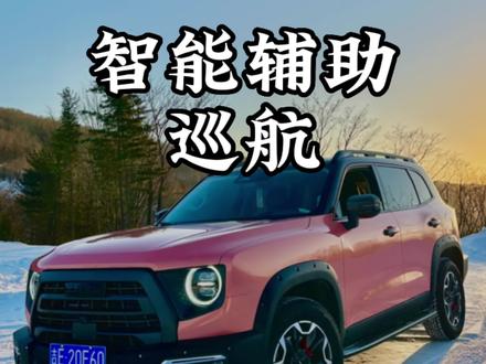 #哈弗大狗 #国产车 #原创 #哈霸狗车友会 新手抓紧点赞收藏 自适应巡航 智能辅助巡航详解
