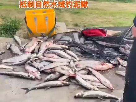 钓友们格小格用泥鳅路翘嘴会被重罚吗? #钓鱼知识钓鱼小技巧 #钓鱼 #钓鱼的乐趣只有钓鱼人懂 #钓鱼封神榜
