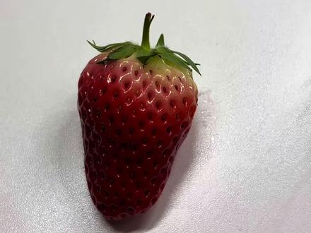 哪个草莓是拼豆做的? #拼豆#万万没想到