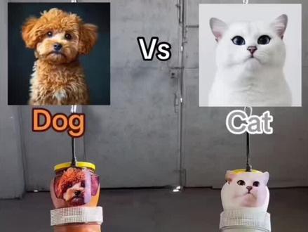 极限玻璃瓶人挑战赛,看看谁能坚持到最后。#玻璃瓶 #奇葩挑战