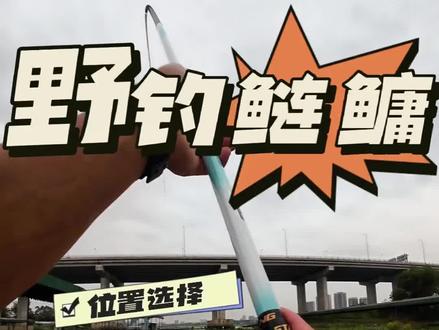 #钓鱼 #绿沙岛 #鲢鳙
有更细节的经验分享可以到岛上找我。希望视频对你有帮助!